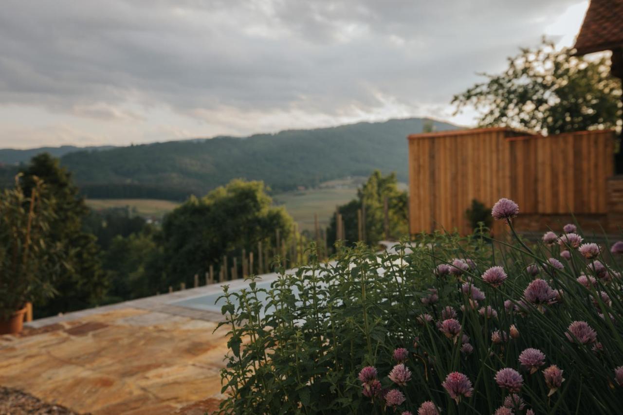 Am Wildbachberg - Luxus Ferienhaeuser Mit Infinitypool, Privatsauna Und Weinkeller Deutschlandsberg Εξωτερικό φωτογραφία