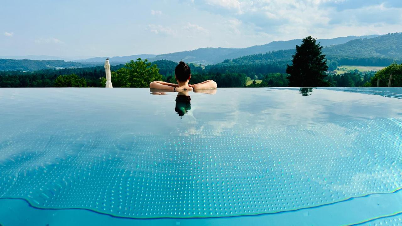Am Wildbachberg - Luxus Ferienhaeuser Mit Infinitypool, Privatsauna Und Weinkeller Deutschlandsberg Εξωτερικό φωτογραφία
