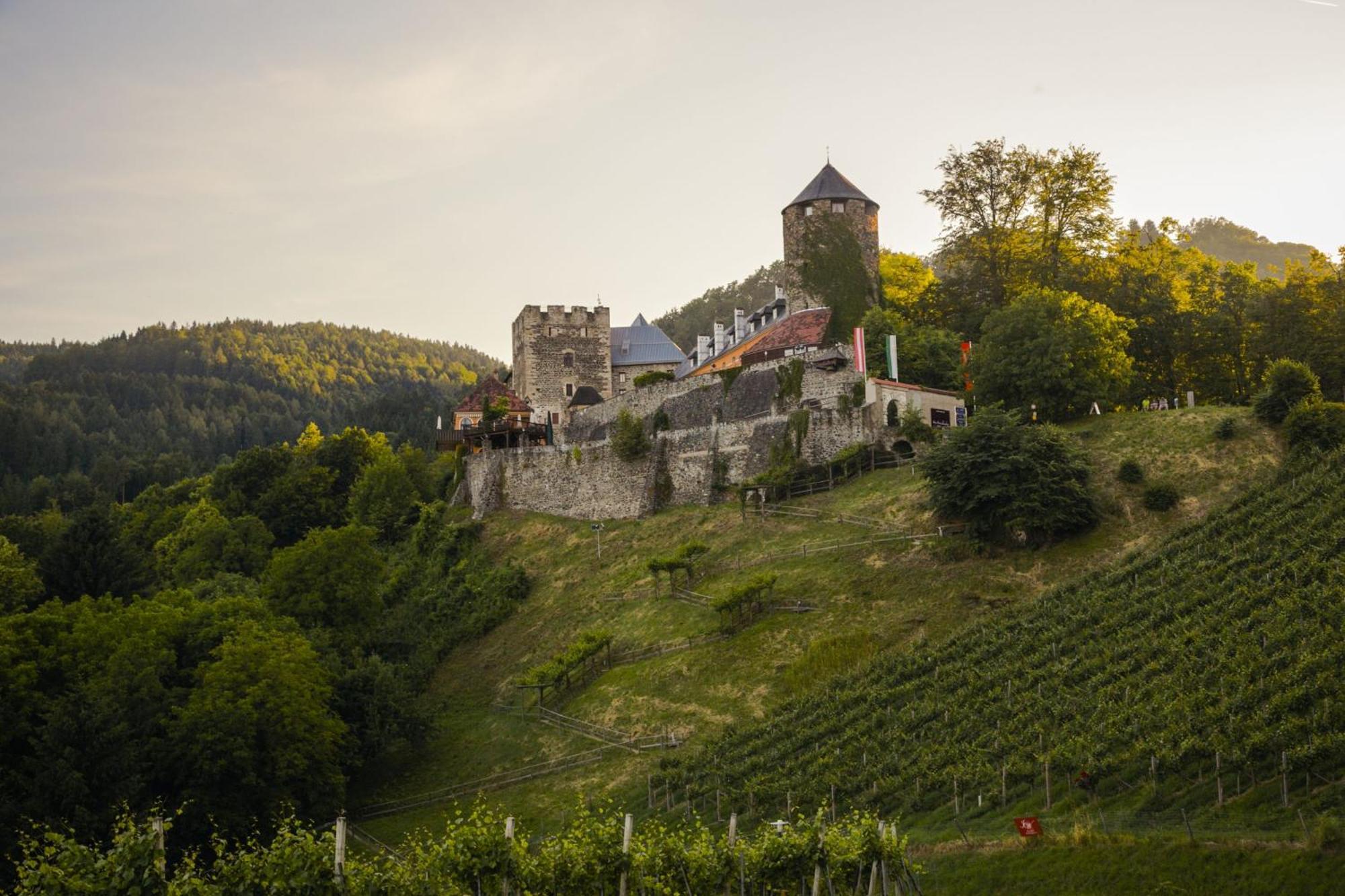 Am Wildbachberg - Luxus Ferienhaeuser Mit Infinitypool, Privatsauna Und Weinkeller Deutschlandsberg Εξωτερικό φωτογραφία